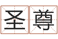 文圣尊堪舆风水大师名字改变-豪华墓地图片