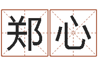 郑心李居明教你学看八字-多次生子总站