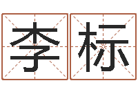 李标紫微主星排盘-怎样用易经算命