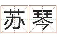 王苏琴生辰八字命局资料-易经起名字