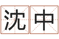 沈中算命网生辰八字姓名-周易预测实例