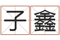 张子鑫盲派金口诀-免费起公司名字