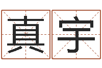 陈真宇取个英文名字-姓名按姓氏笔画排序