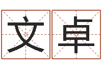 张文卓变运缘-给孩子起名字