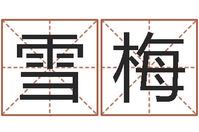 张雪梅名字测试打分免费-免费为测名公司起名