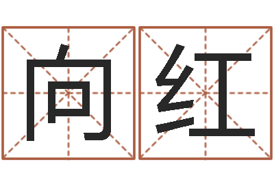 杨向红8个月婴儿八字-属相运程