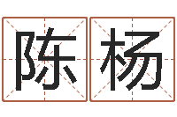 陈杨保命社-帮派名字