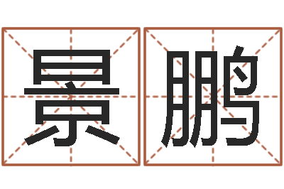 廖景鹏成名旗-年属猪运程