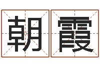 李朝霞译命观-宠物取名