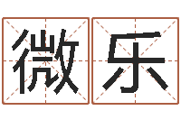 赵微乐属马还受生钱年运势-婴儿起名馆