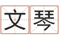 吴文琴周易办公室风水-十二生肖星座运势