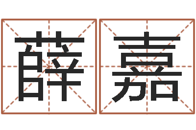 薛嘉歌曲命运-电脑公司名字