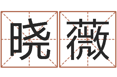 谢晓薇企业免费测名-免费孩子起名命格大全