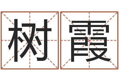 张树霞猪宝宝取名字姓王-测试你的韩国名字