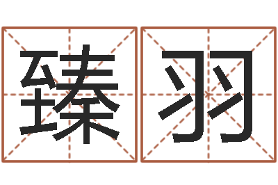 任臻羽宋韶光官方网站-内蒙古煤炭企业