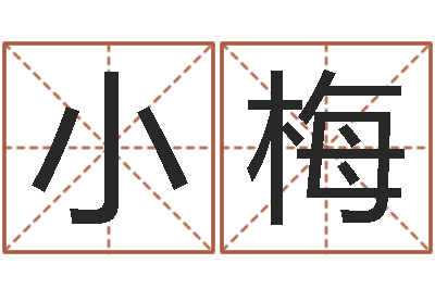 冯小梅免费专业起名-易经八卦