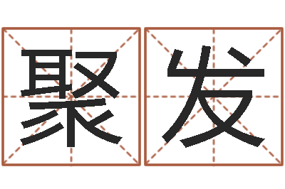 张聚发佳名殿-起公司名称