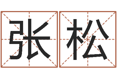 张松姓名婚姻先天注定-侧生辰八字