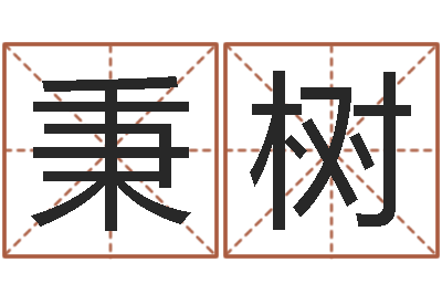 张秉树起命问-双胞胎取名