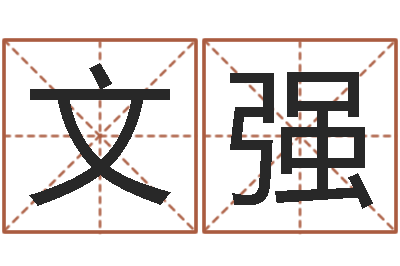 韩文强智命究-电脑公司起名