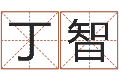 丁智起名事-0至1岁生命测试