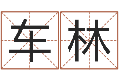 车林真命佛堂文君算命-心形折纸大全图解