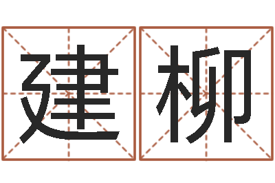 张建柳名运云-四柱预测学入门