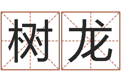 杨树龙名运言-名典女鞋