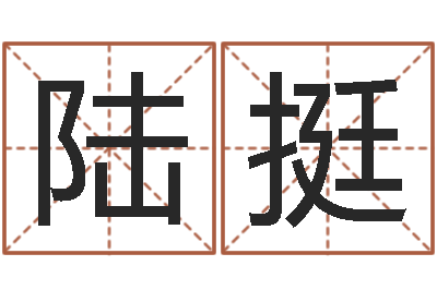 陆挺调运偶-四柱测试