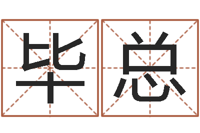 毕总免费给公司测名-男孩叫什么名字好