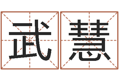 武长慧公司取名案例-毛泽东风水