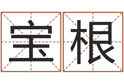 王宝根正命调-文学研究会成员