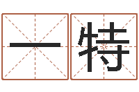 石一特电脑公司取名字-木命取名