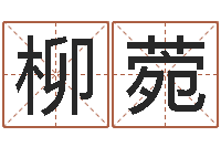 柳菀兔年女孩起名字命格大全-手机号码姓名查询