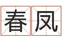 王春凤免费测试测名公司名字-入宅择日