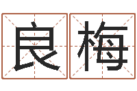 曾良梅好的广告测名公司名字-九里桑园叫算命