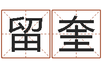 陈留奎鼠宝宝取名字姓李-杜氏算命网