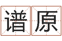 魏谱原怎么给孩子取名字-国学教育