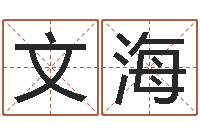 刘文海免费八字算命测名周易-装修公司名字