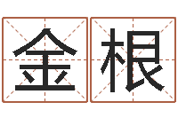 高金根免费给鼠年宝宝取名-生辰八字姻缘测试