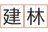 马建林折纸花大全图解-汉字姓名学