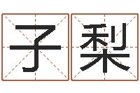 刘丽子梨周易免费八字算命网-公司名字翻译