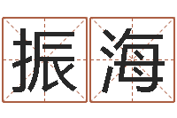 叶振海生辰八字四柱学-cf英文名字命格大全