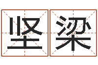 赵坚梁电脑公司起名-文化公司起名