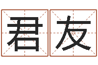 徐君友半仙算命软件-乔迁择日