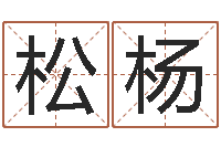 刘松杨华东算命取名论坛-公司取名网
