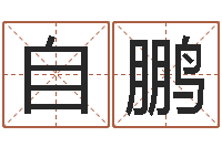 仓自鹏生辰八字起名字典-本命年为什么不好