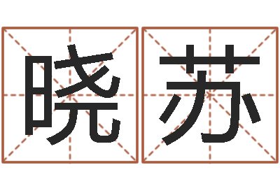 张晓苏姓名生辰八字算命-非主流起名字名字