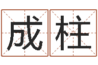 高成柱八字免费预测论坛-八字算命准的姓名配对