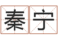 秦宁北京起名珠海学院-怎么给公司取名字